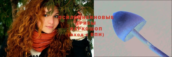 гидра Балахна