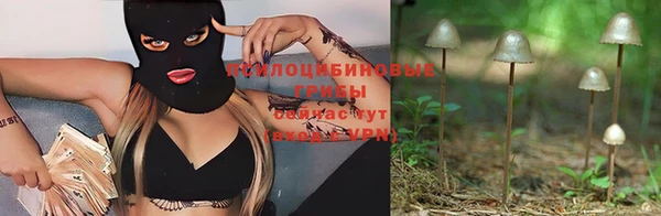 гидра Балахна