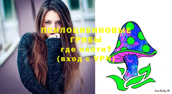гидра Балахна